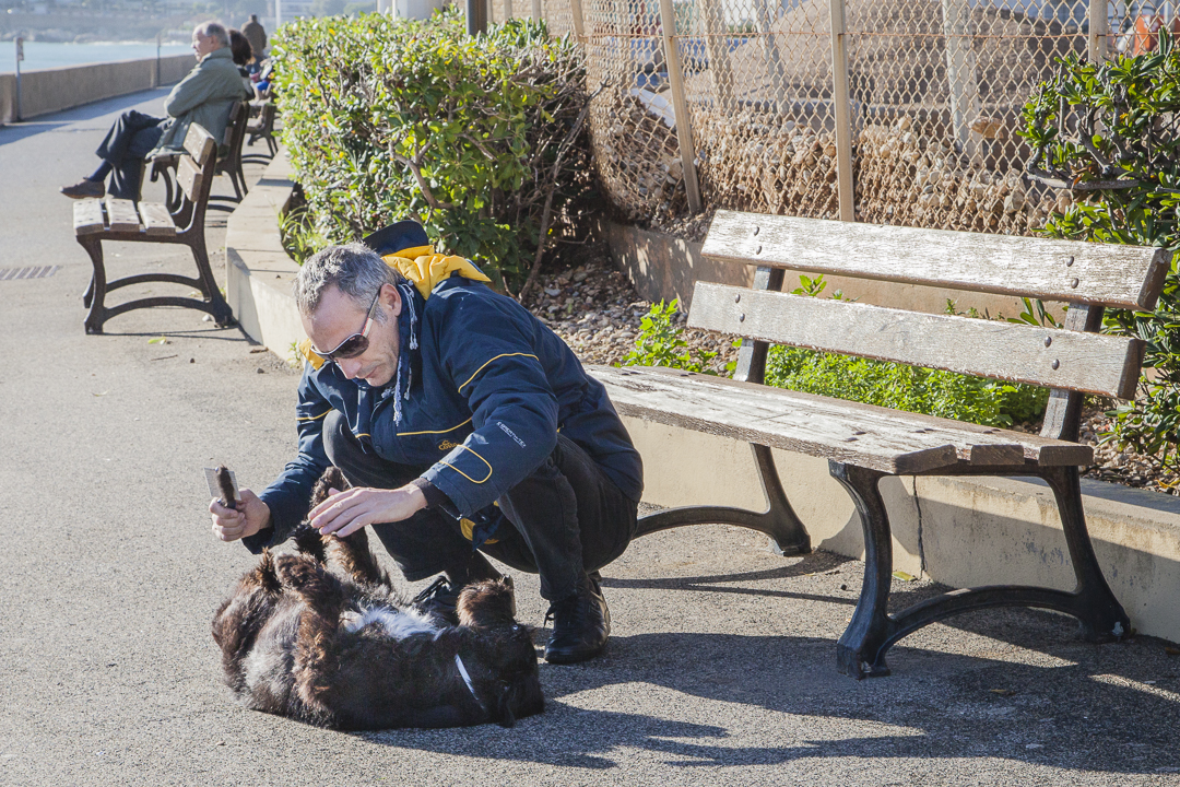 Menton Daily Photo Dog hair for the birds