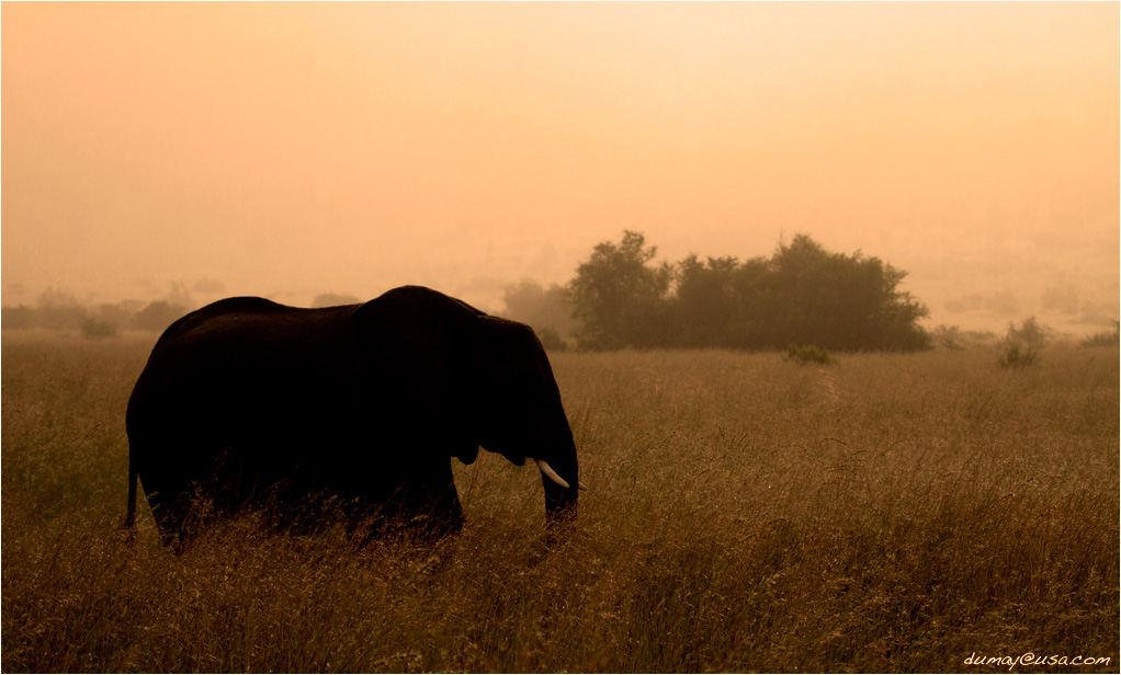 Cradle Hotels, Lodges and Resorts July 2011