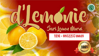 sari lemon dlemonie