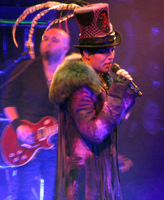 AdamBertDaily Blog Falling In Love With Adam Lambert!