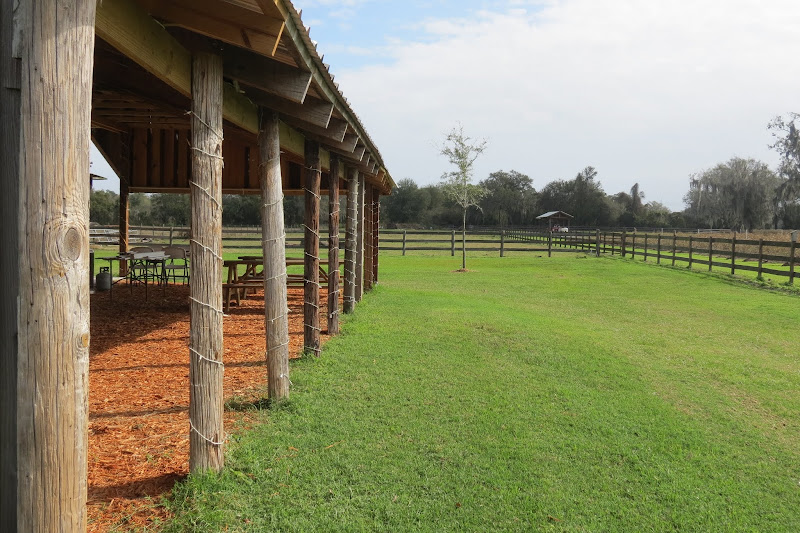 See how beautiful the grounds are! title=