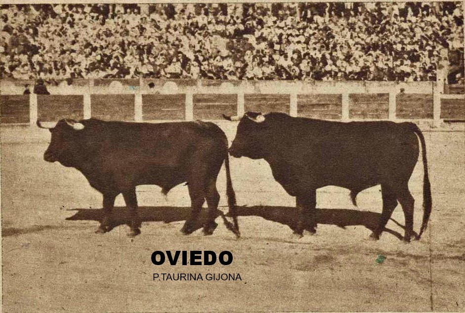 toros en oviedo