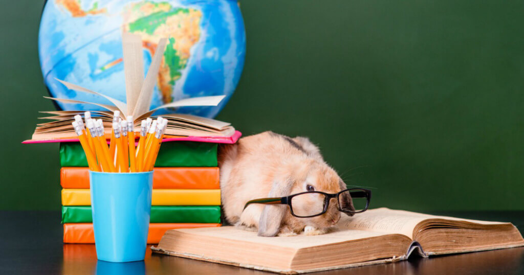 FREE Pets for Teacher’s Classrooms Free Samples & Freebies