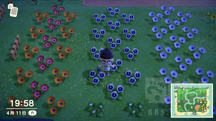 集合啦 動物森友會 (Animal Crossing:New Horizons) 花卉雜交選種與圈地規劃解說