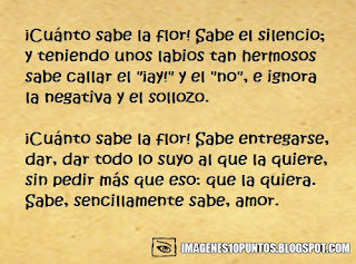 poemas de flores poemas de flores