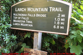 Larch Mountain Trail Portland