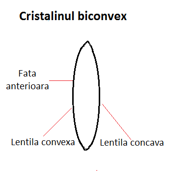 carne și vene varicoase