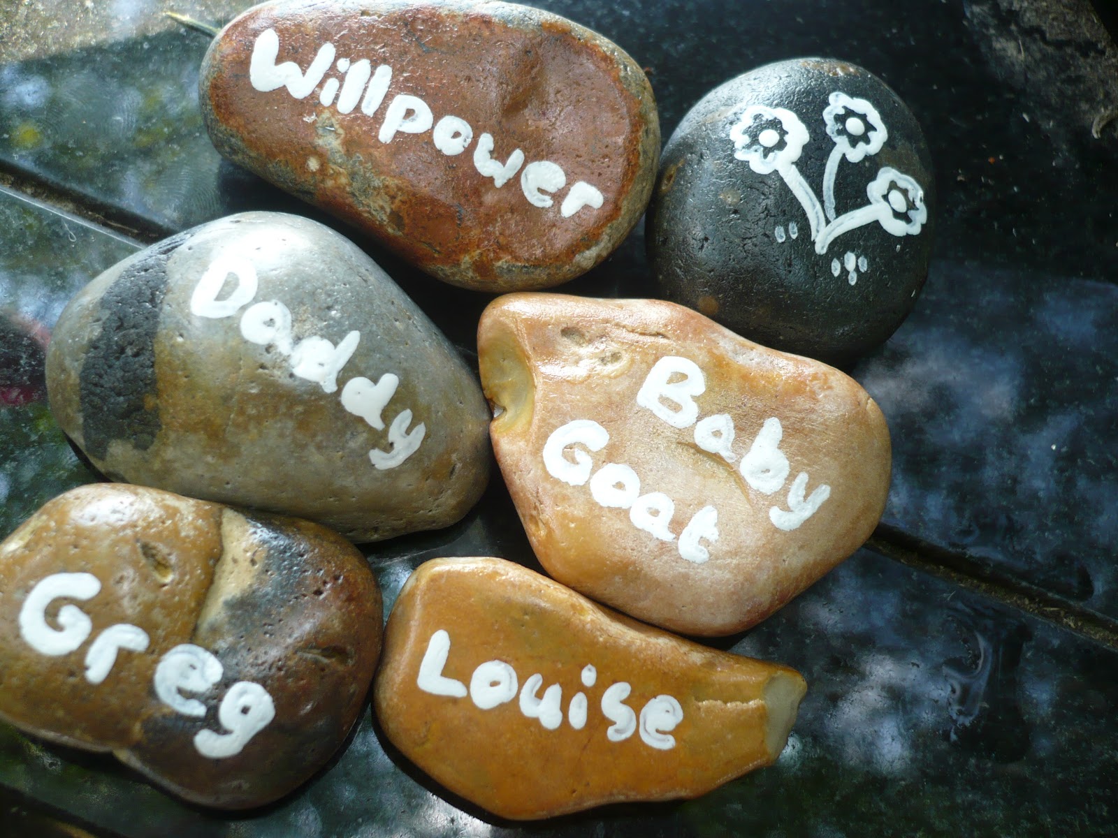 The Pebble Garden Project Memory Pebbles