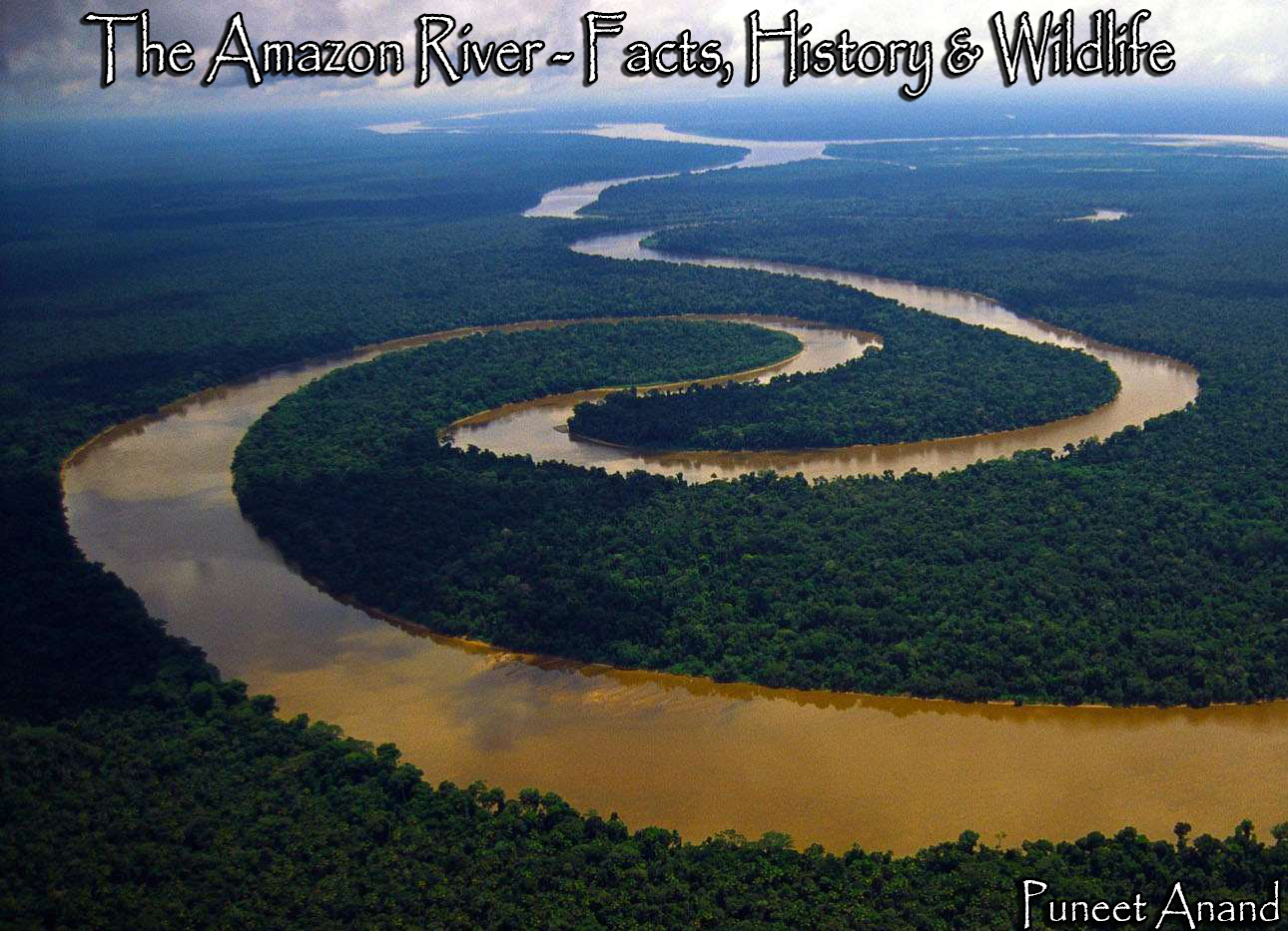 Полноводная река планеты. Река Амазонка река. Дельта амазонки. Амазонка Лонг Ривер.