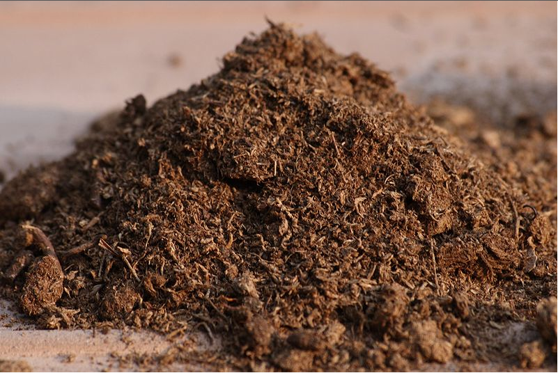  Bahan organik  tanah Soil Organic Matter Terjemahan 