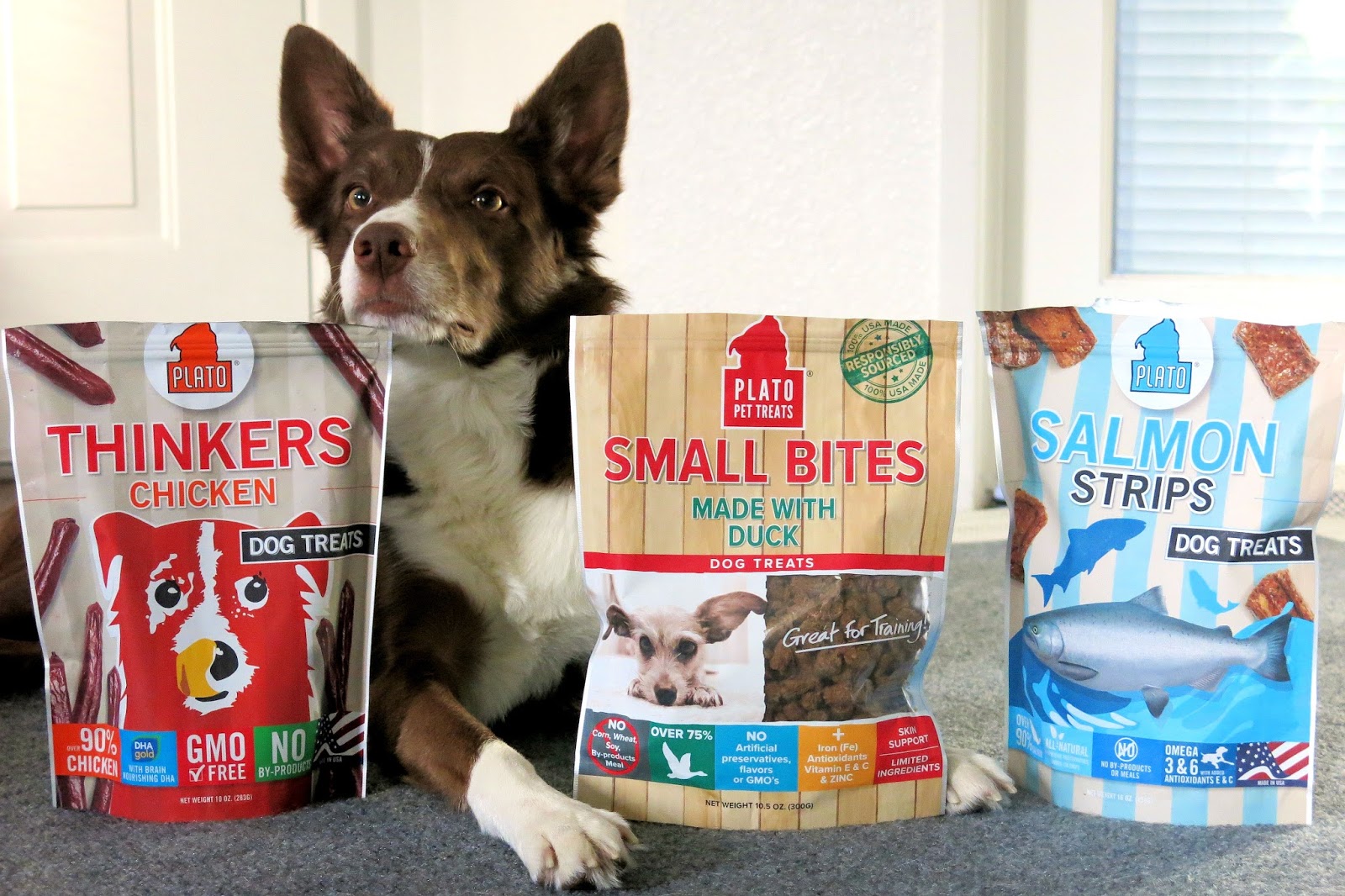 Sweet Sundance Review Plato Pet Treats