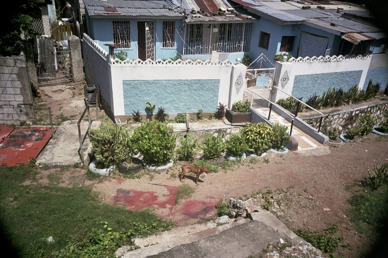 boogie blog MOUNTAIN VIEW; Kingston, Jamaica.