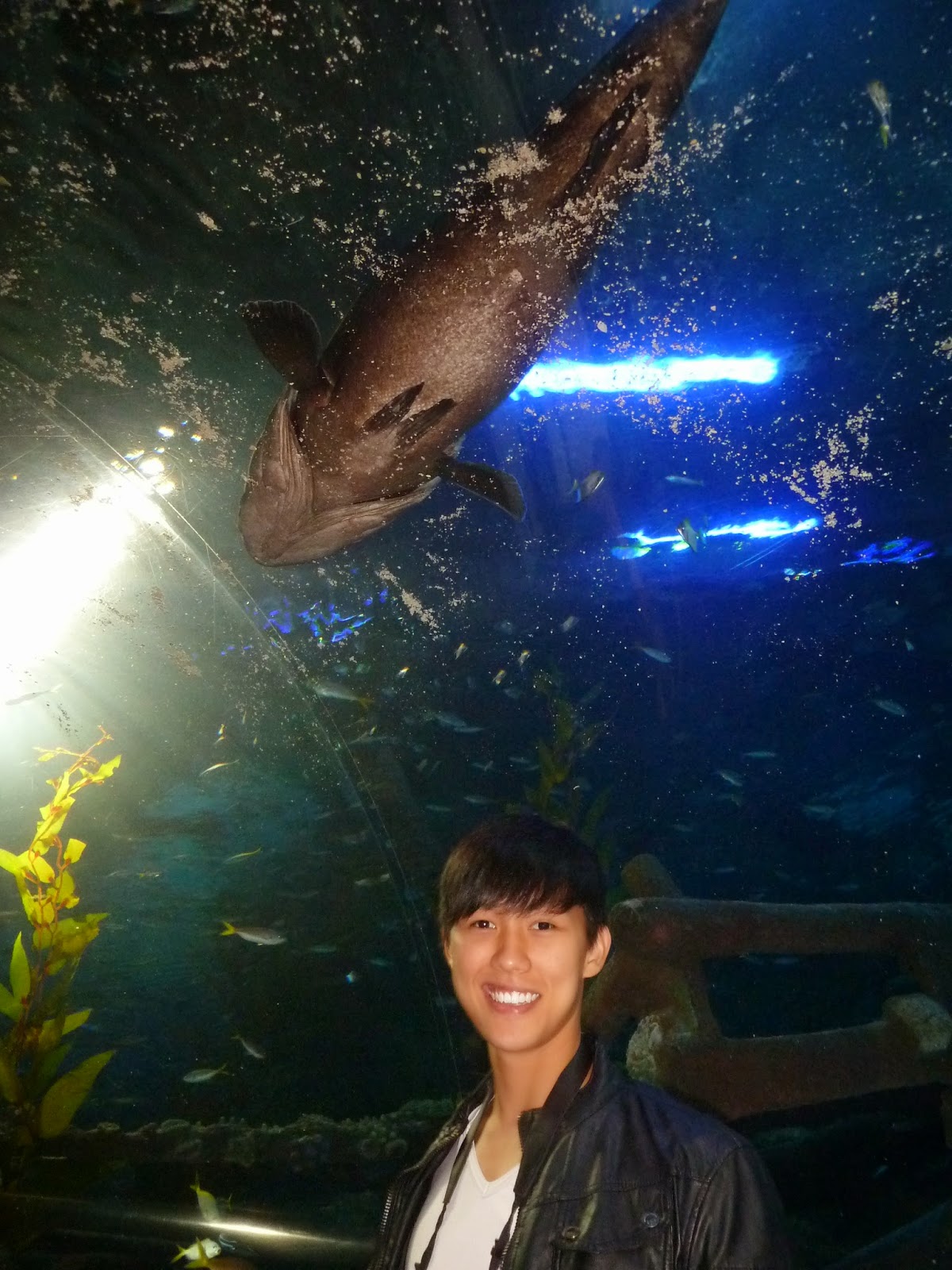 Kee Hua Chee Live! AQUARIA AT SURIA KLCC IS ONE OF THE BEST AQUARIUMS