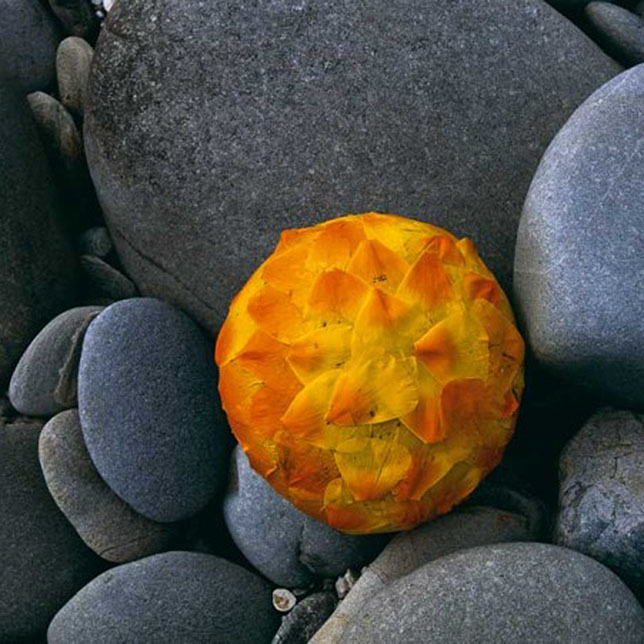 Petal stone. Stone River топ оранжевый.