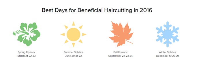 This NATURAL Thing: Lunar Hair Care | My Secret to Hair Cuts for Healthy  Hair Growth