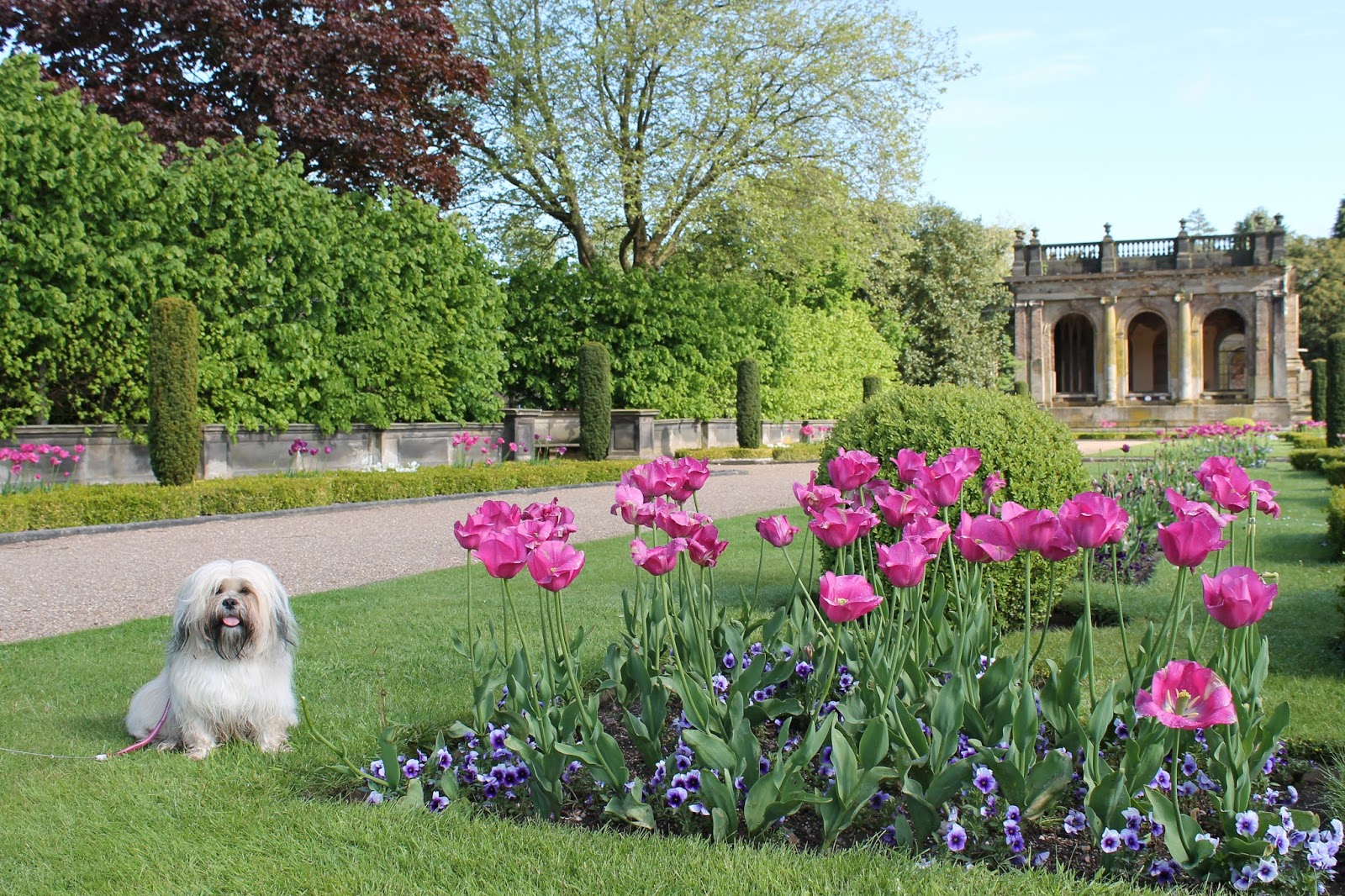 Trentham Gardens The Trentham Estate Staffordshire Paws across