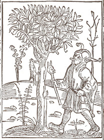 Nach Cut Out Stock Images Pictures Alamy