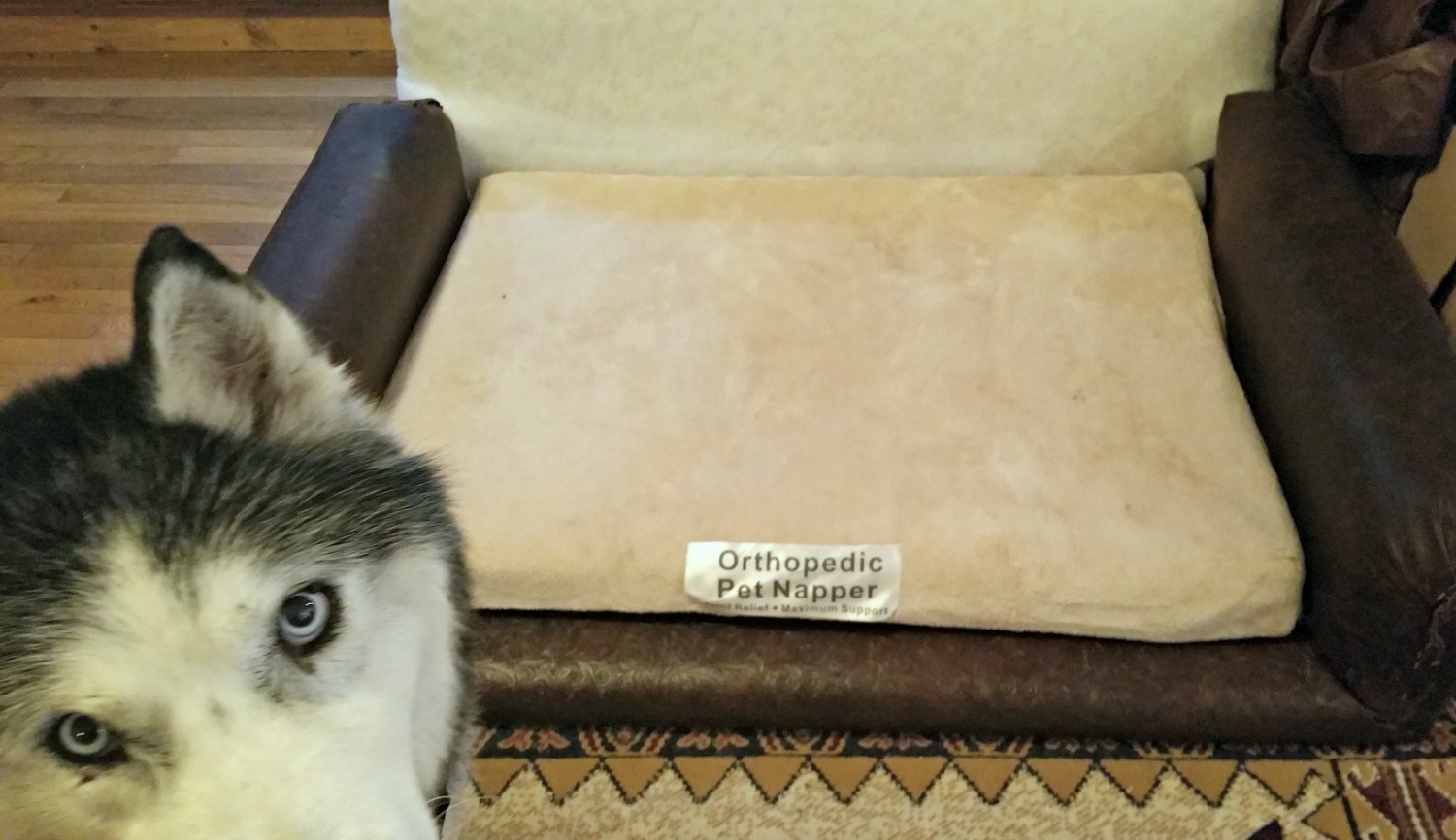 How to DIY Leather Dog Sofa and Giveaway Redo It Yourself