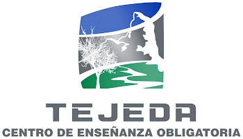 CEO Tejeda