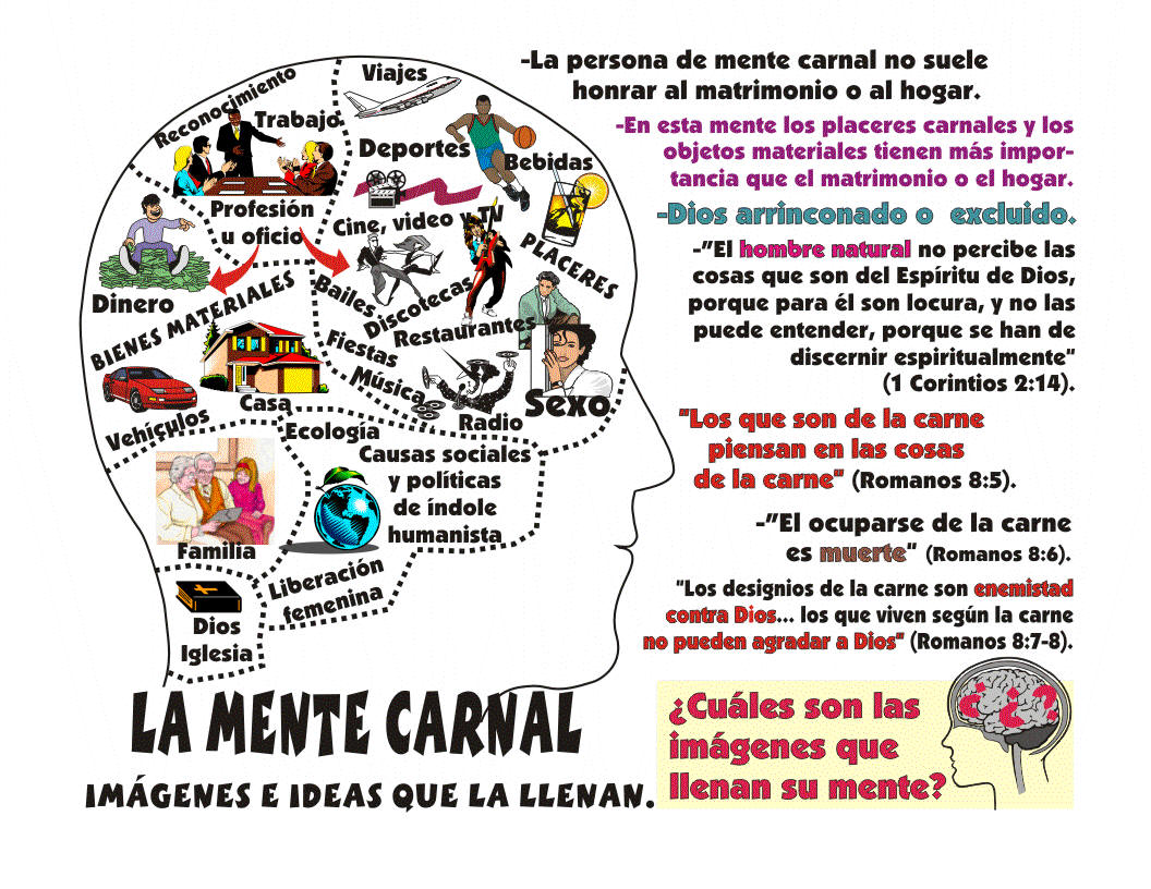 Iglesia Cristiana Casa de Oración para las naciones El cristiano carnal°