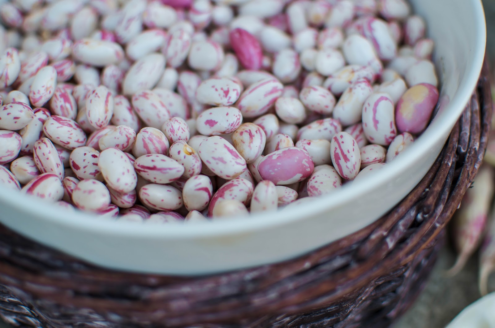 La Tavola Marche: The Beautiful Borlotti: Speckled Cranberry Beans {5 Recipes}