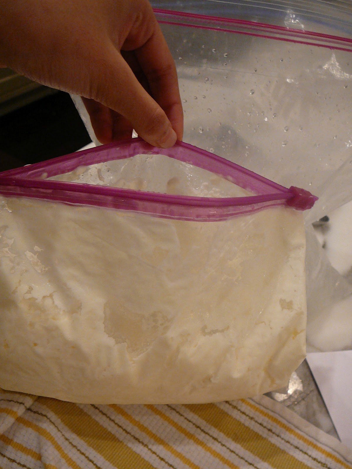 The Sweet Life Project Z is for ZipLock Bag Ice Cream