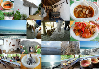 Collage Rota