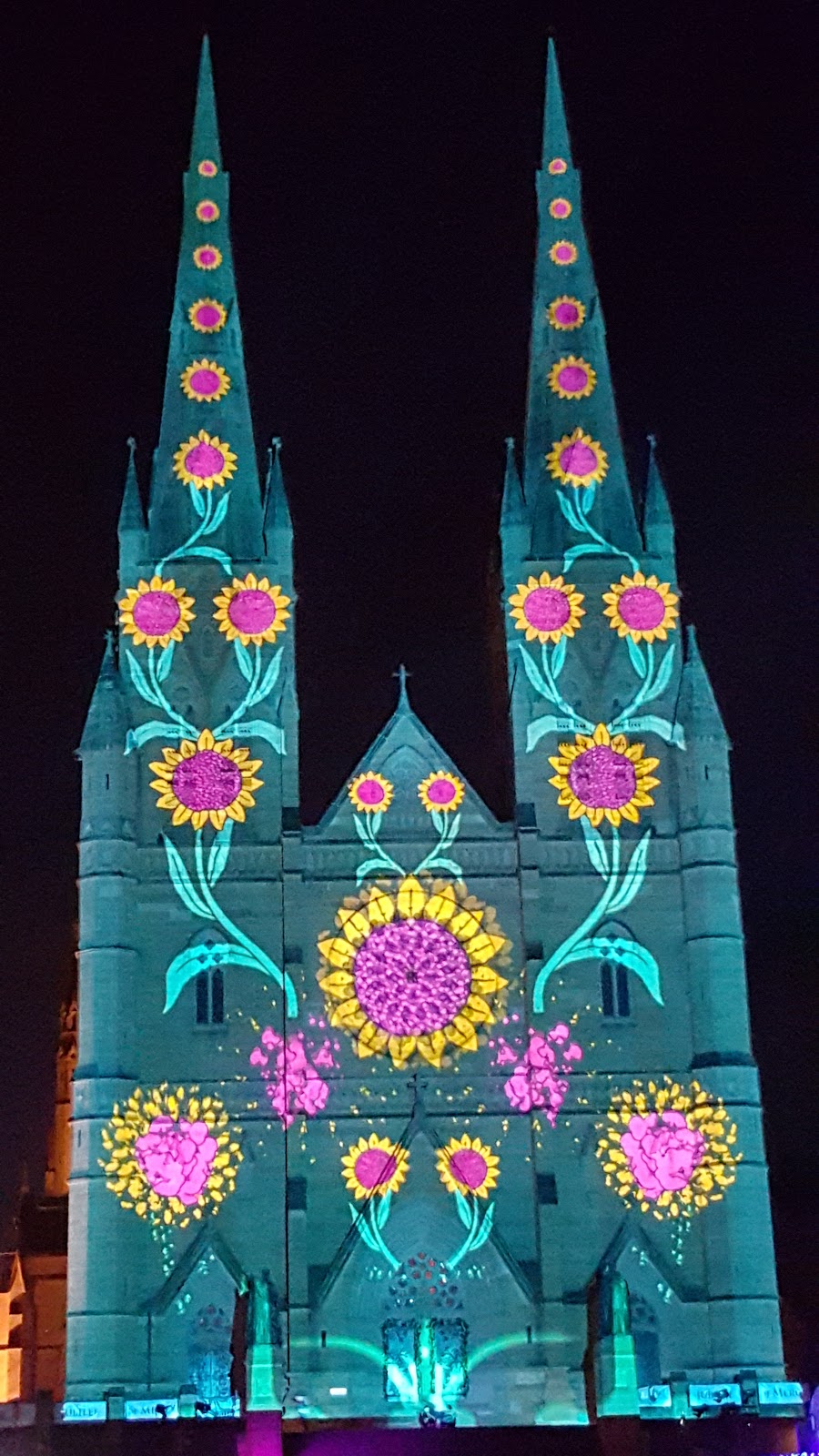 Sydney City and Suburbs St Mary's Cathedral, The Lights of Christmas