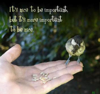 Sentimental Quotes on Life - Apihyayan Blog