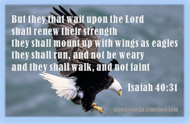 But they that wait upon the Lord shall renew their strength; they shall mount up with wings as eagles; they shall run, and not be weary; and they shall walk, and not faint.