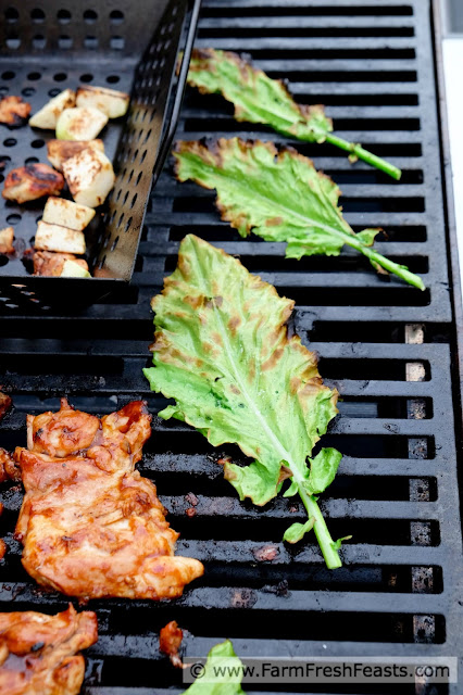 http://www.farmfreshfeasts.com/2015/06/grilled-kohlrabi-leaf-chips-on-stick.html