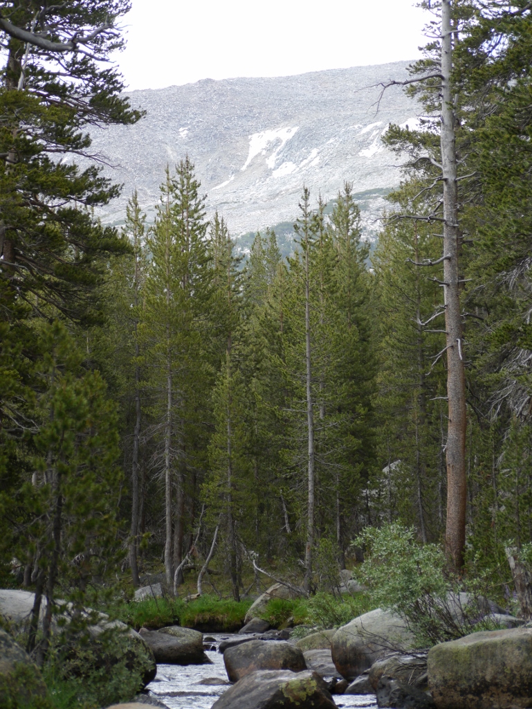 Yosemite National Park Tioga Pass Road 