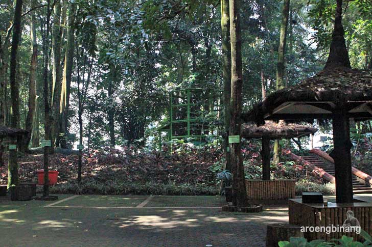 taman hutan raya ir. h. juanda bandung