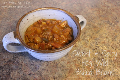 Sweet & Spicy Hog Wild Baked Beans - A crowd pleaser for your next potluck or tailgate, crock pot slower cooker friendly