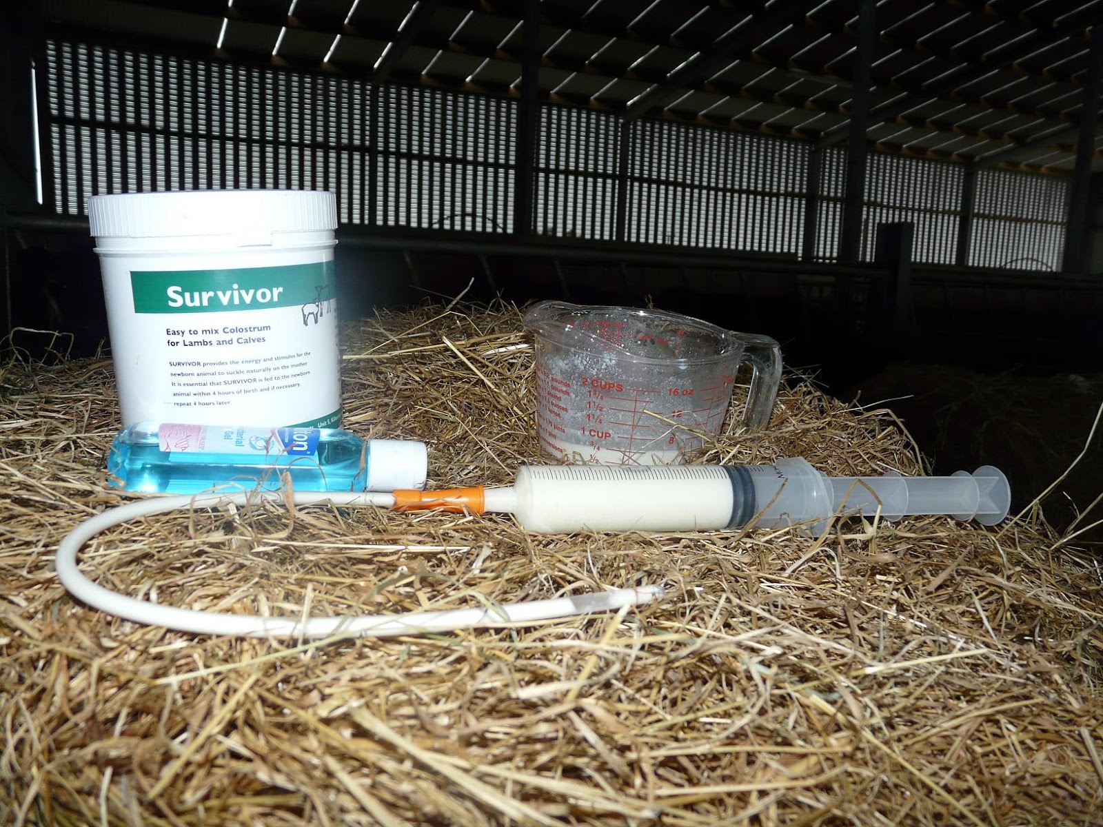 Lambing Kit