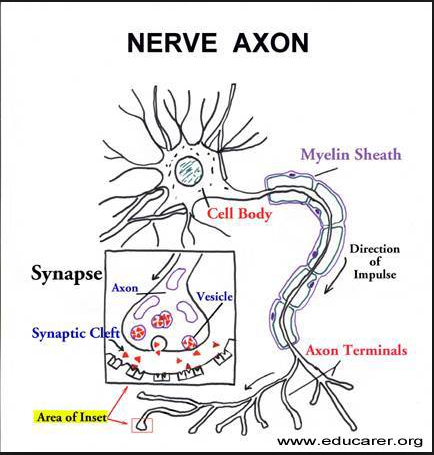 Z41 - Social Science analysis Reports: Information data GROUP 127 - the