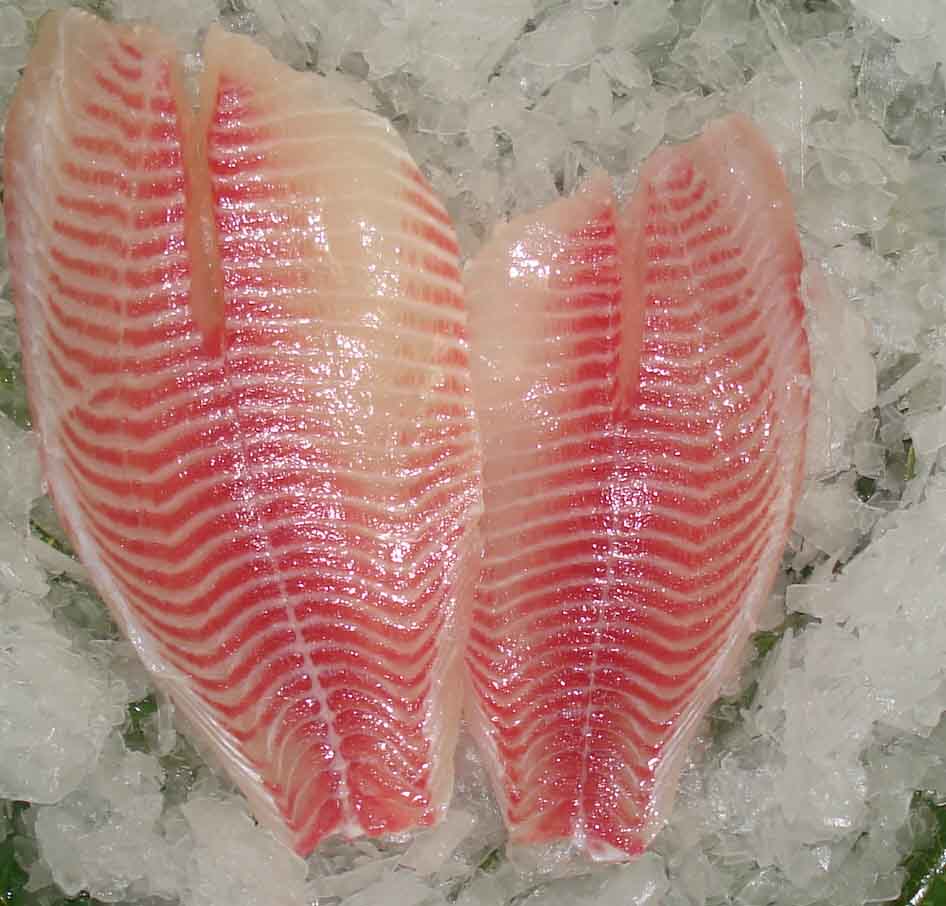 Are Catfish Fillets Healthy for Your Body with Good Nutrition Inside