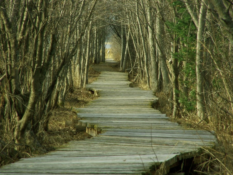 Top 35 Beautiful And Fabulous Paths Wallpapers In HD