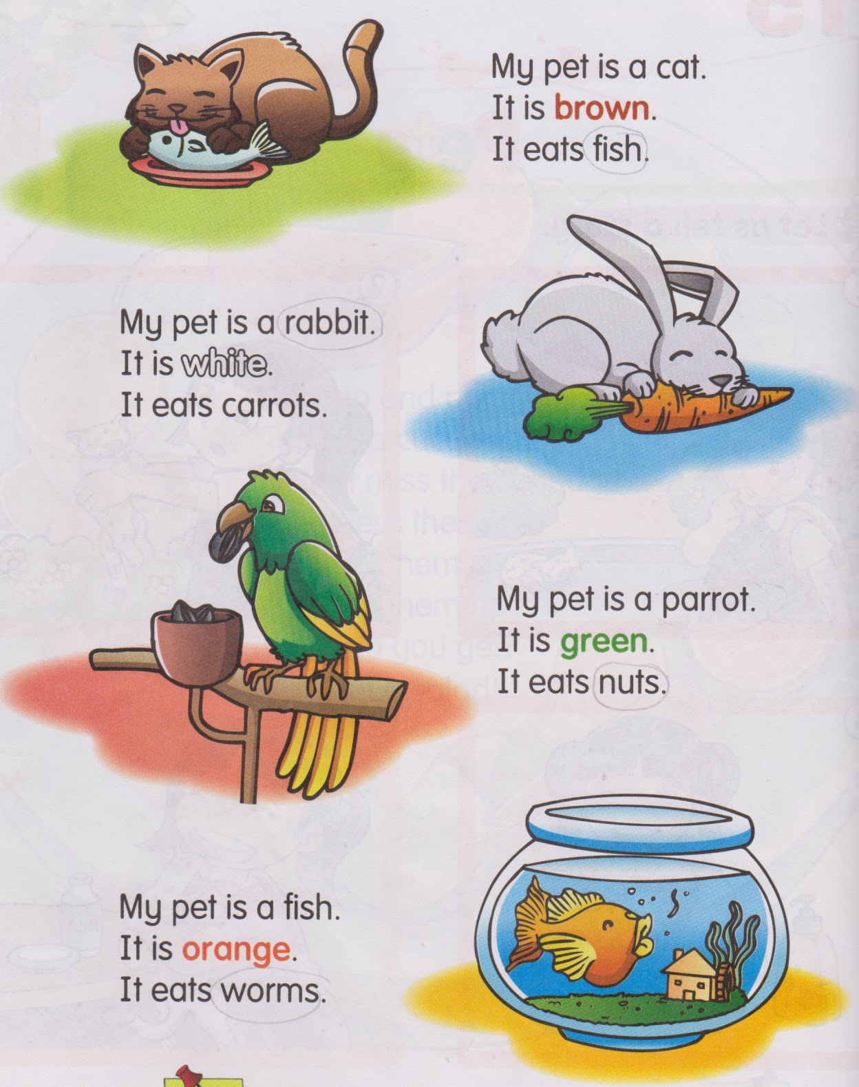 Pet tasks. Pets задания. Английский для малышей my Pet. Упражнения английский my Pet. Pets на английском.