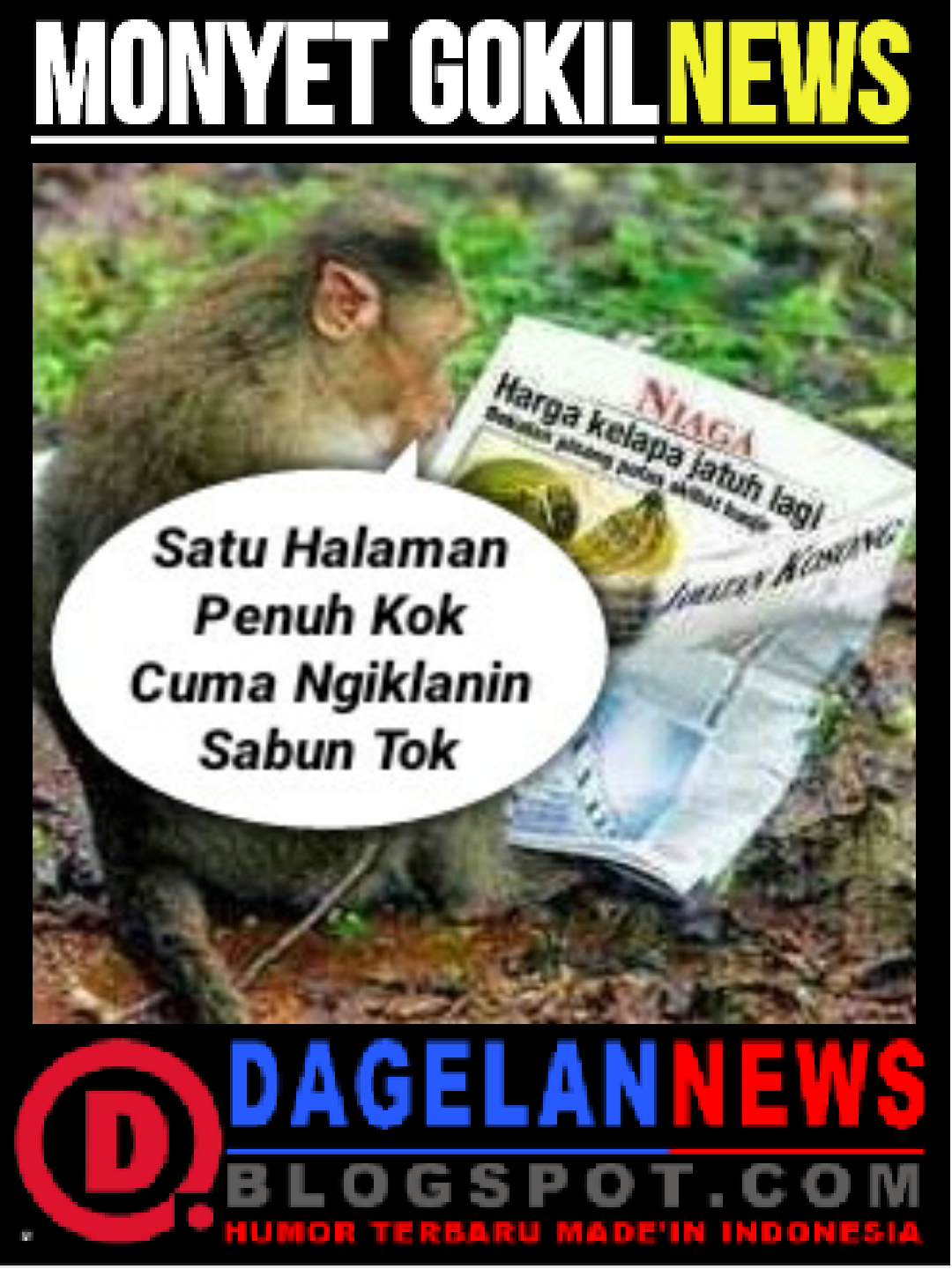 GAMBAR LUCU MONYET CURHAT DAGELAN NEWS