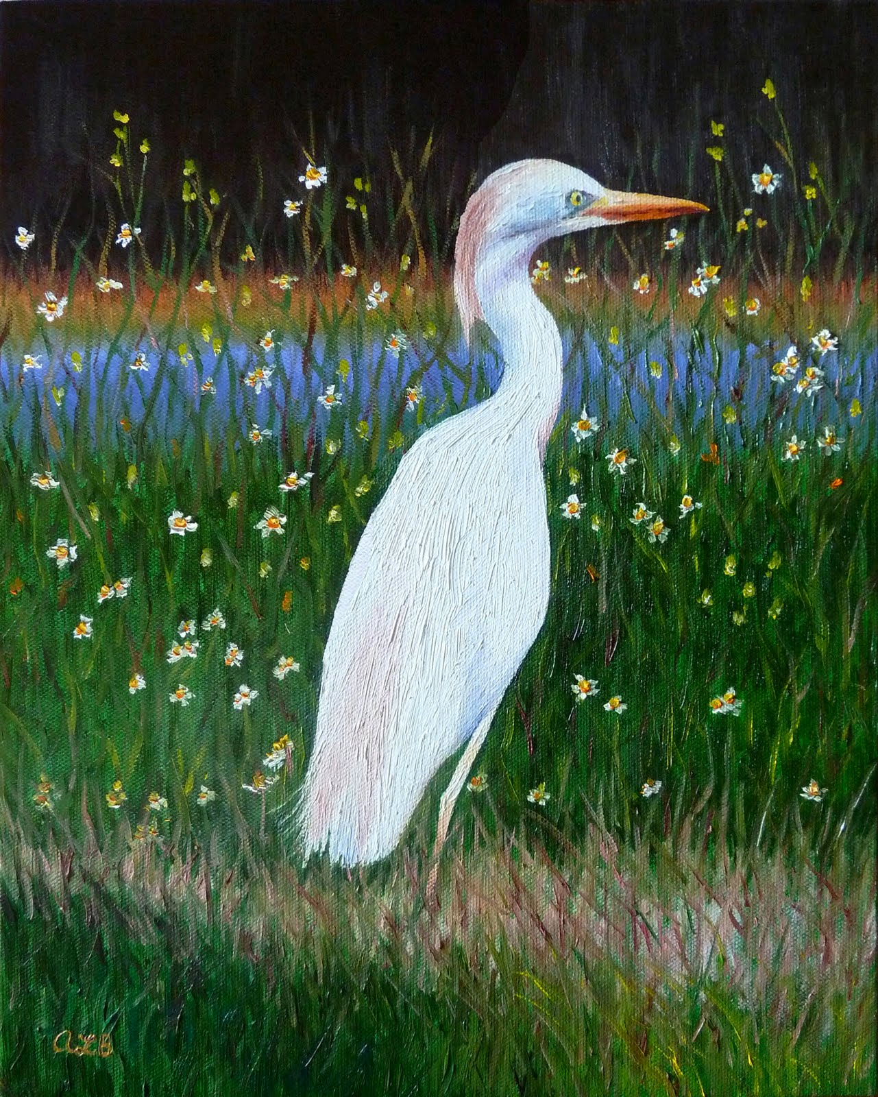 Audra's Oil Paintings Commission Cattle Egret (2011), 11 x 14"