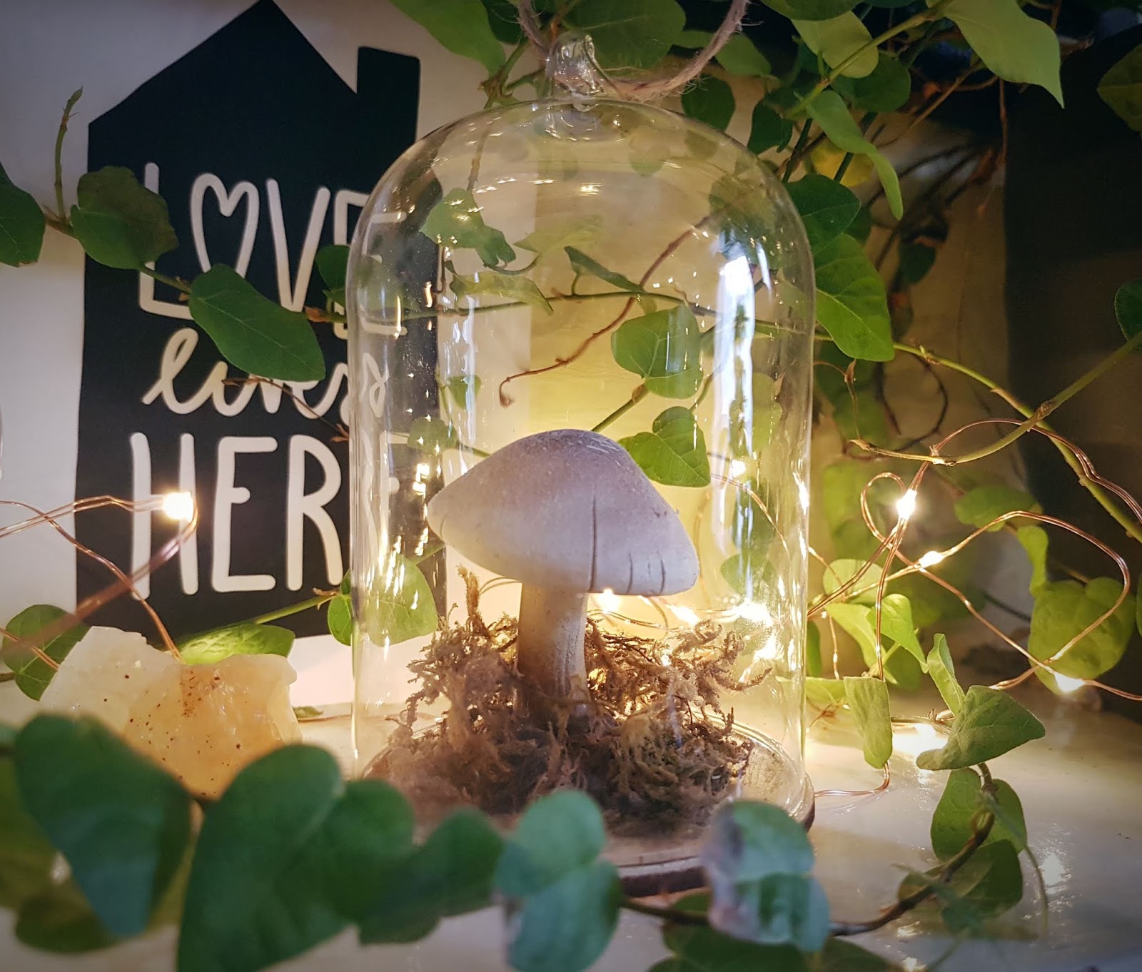 The First Trimester Little Pack of Vegans