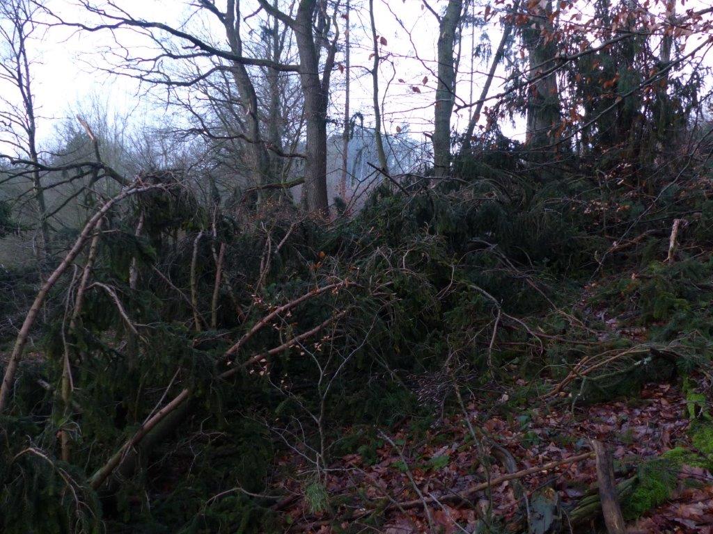 Basic Herbstoutfit Mit Schwarzer Bikerjacke Schwarzer Rohrenjeans