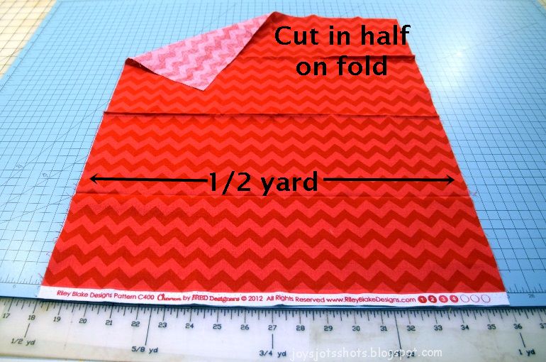 Joy's Jots, Shots & Whatnots Quarter Yard Pillow Cover