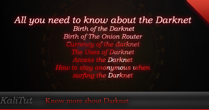 tor darknet anonymous гирда