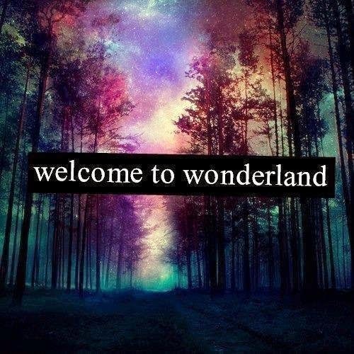 Welcome to wonderland^^