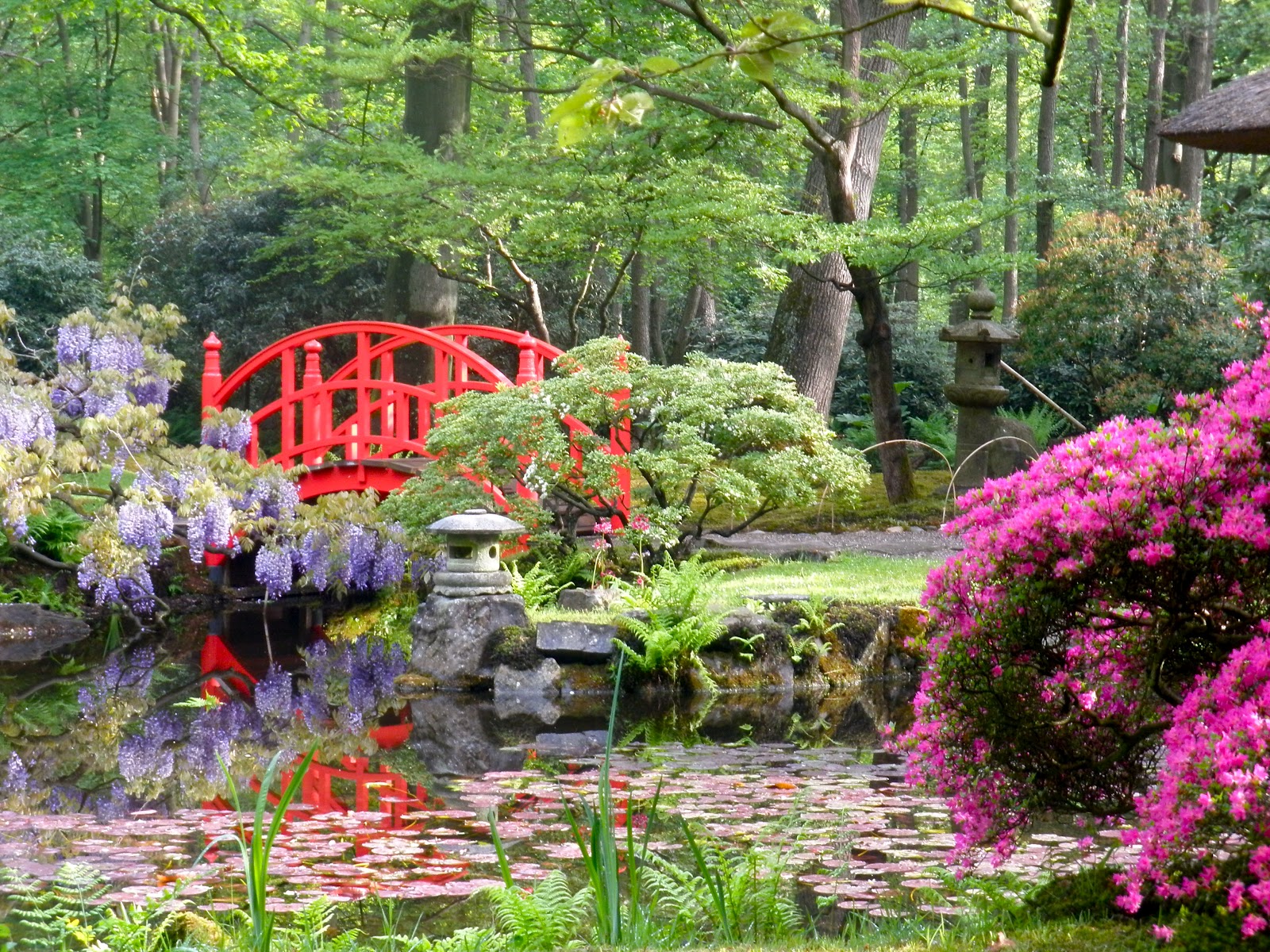 Japanese Zen Garden: Japanese Garden - The Hague