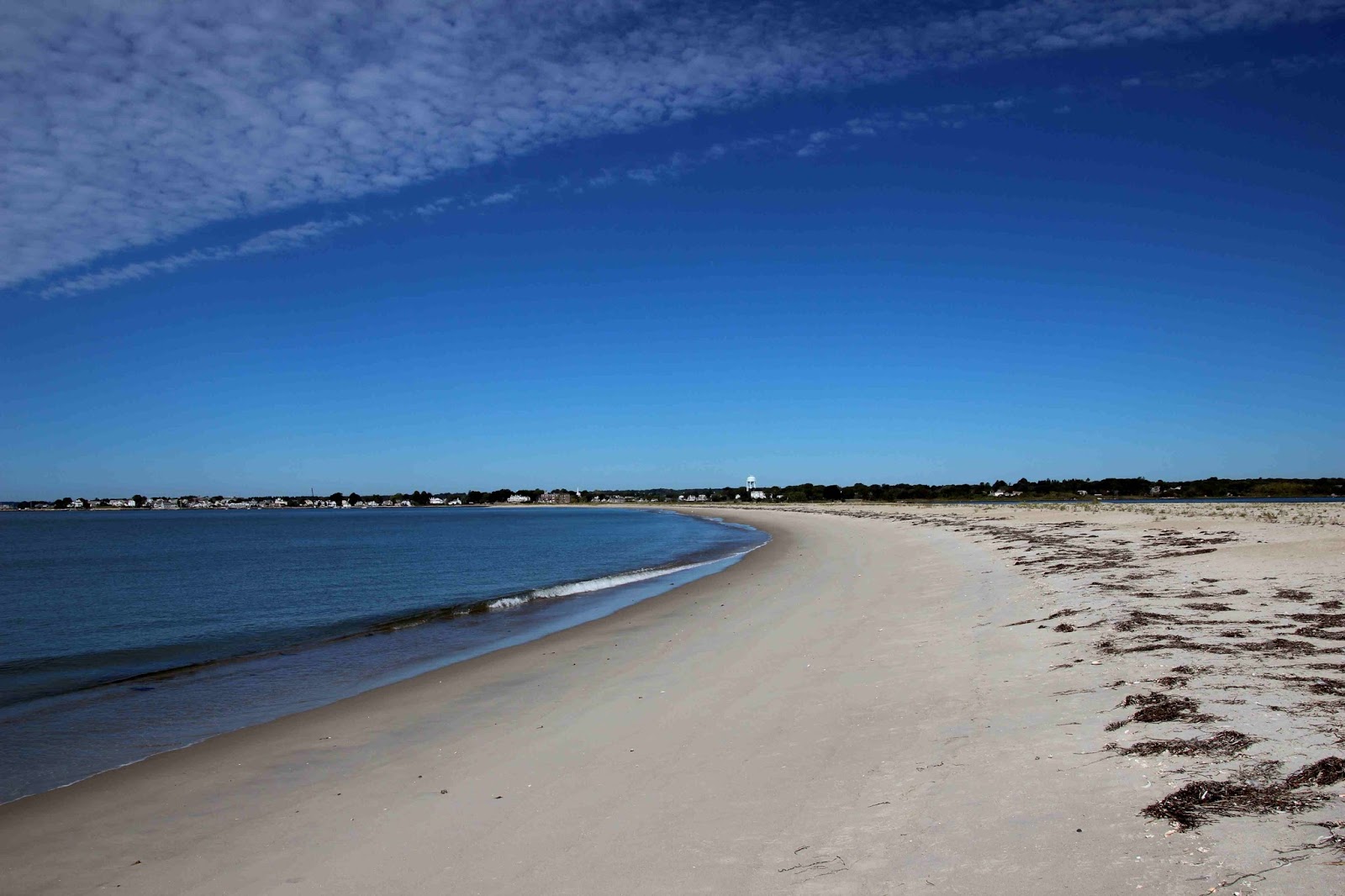 Avalonia eTrails Sandy Point in Summer