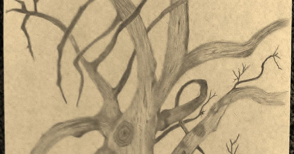 JoyZAChoice Tree Study