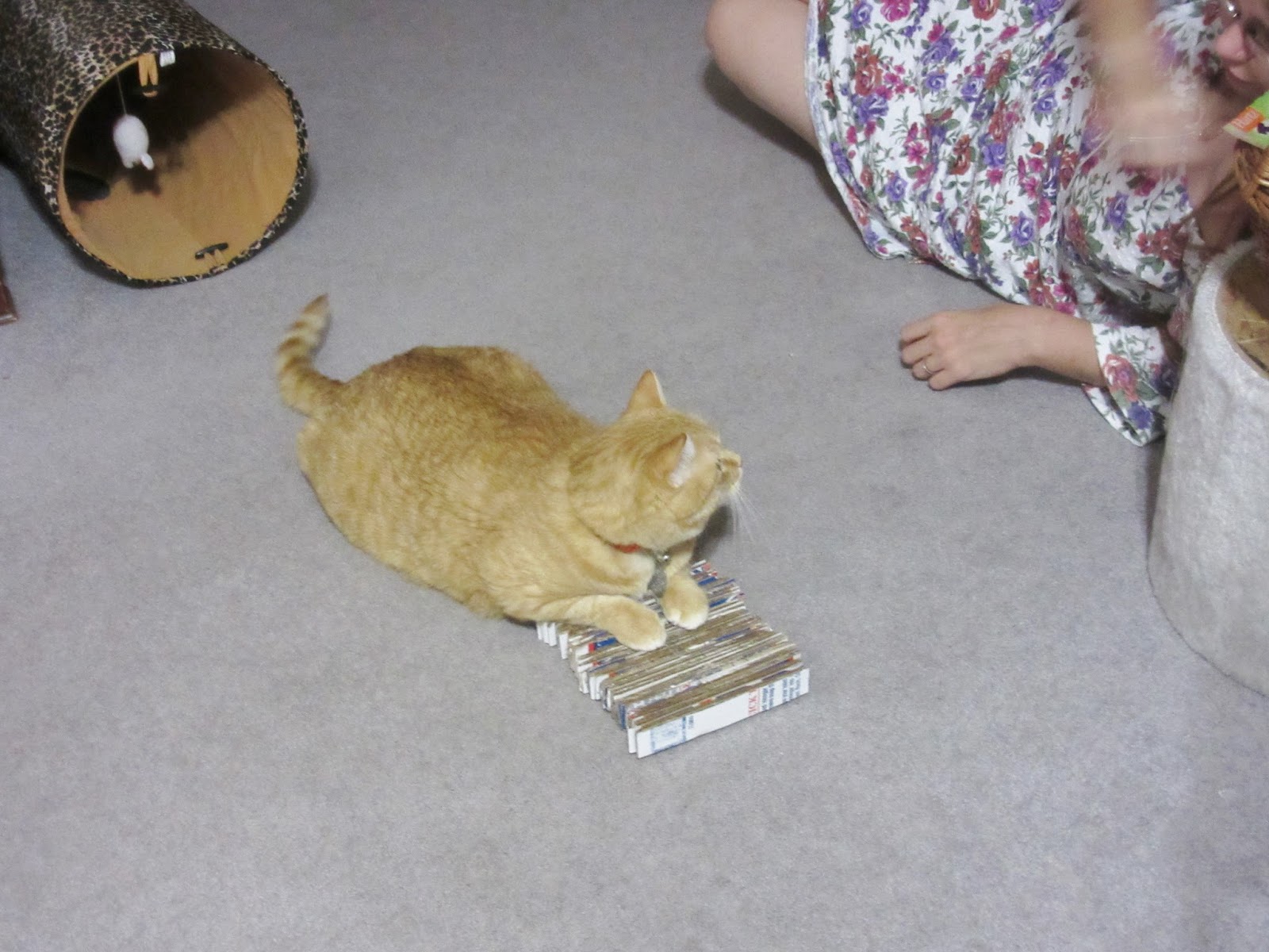 The DIY Cat Scratching Pad